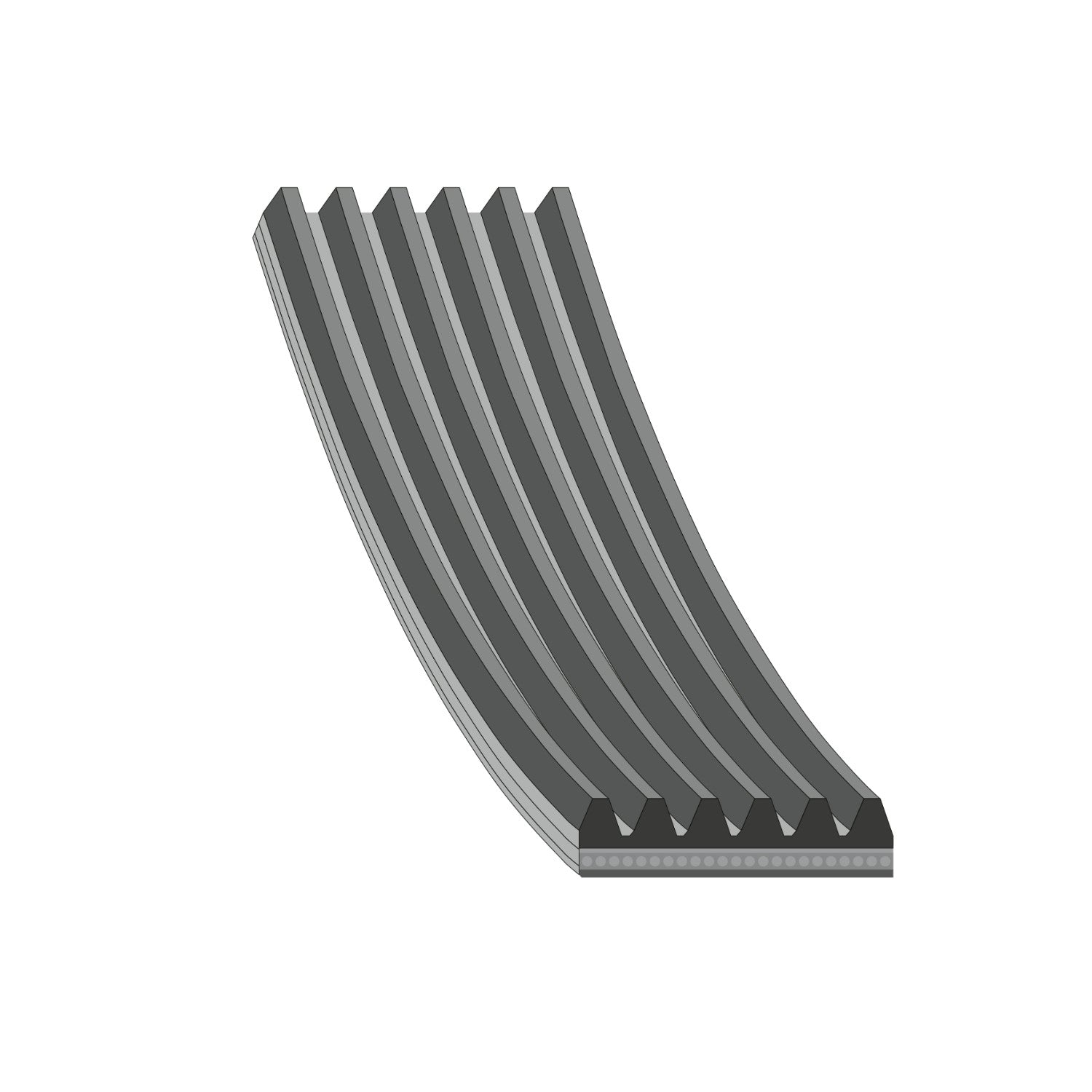 V-ribbed belt – Axess Online Shop
