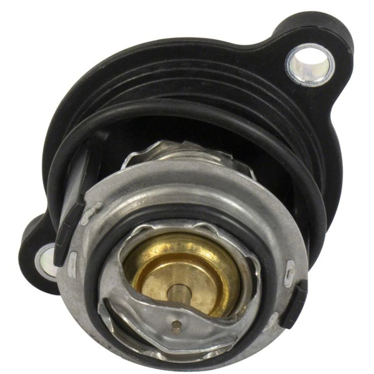 THERMOSTAT ASSY