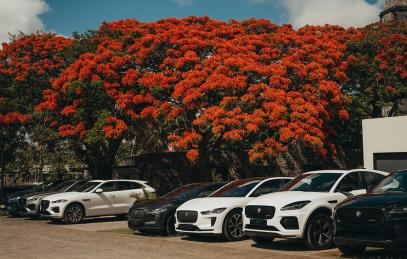 aguar_Axess_paceevent_2024