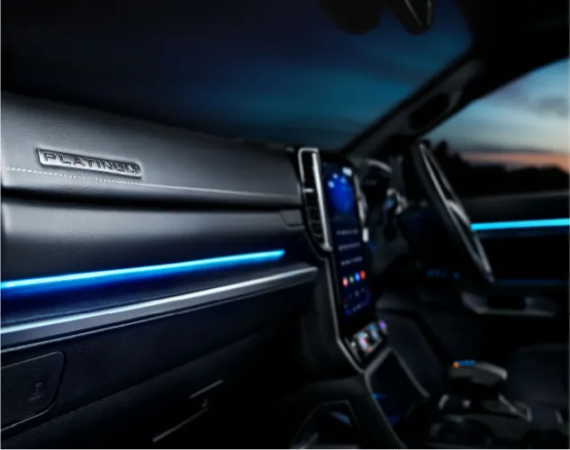 Ford Platinum - Axess 2025